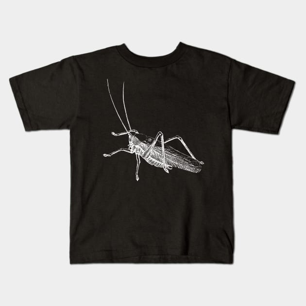 Dramabite Vintage grasshopper illustration Kids T-Shirt by dramabite